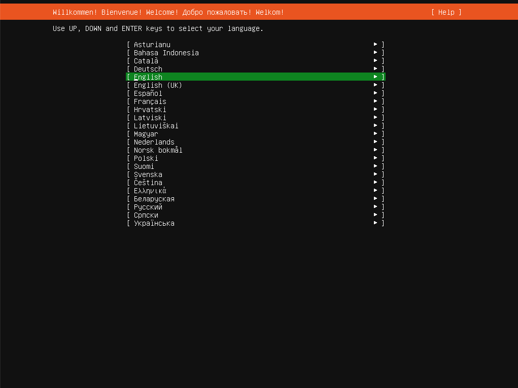 Ubuntu Install Language Selection